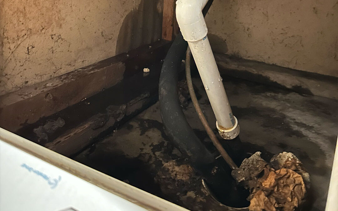 Chapter 2: Feeling Hot Hot Hot!